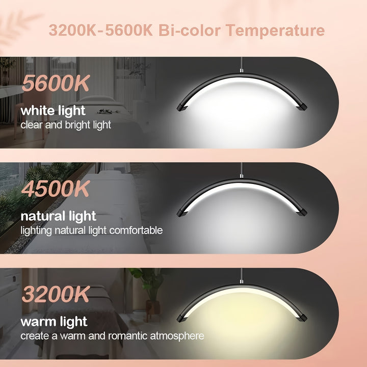 Contemporary Half Round LED Beauty Floor Lamp